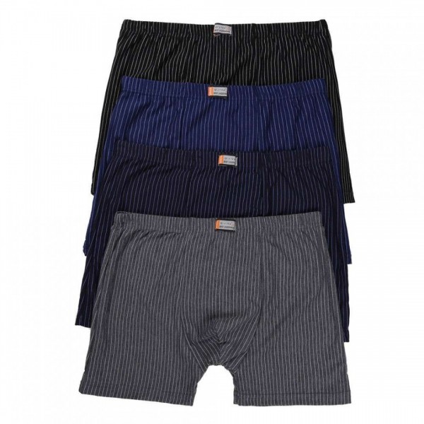 Bixtra боксерки 4XL-7XL KL-H-3206E-bg